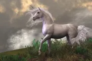 Unicorn Placeholder